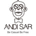 Andi Sar – Inicio